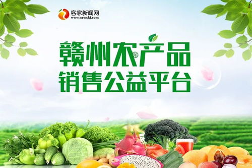 手持長槍短炮，融入疫線農產品 記錄與守護的希望瞬間