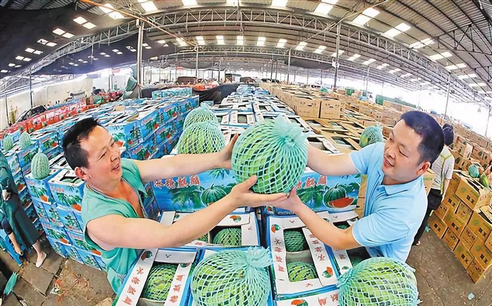強化食用農產品質量安全監管，市場監管部門這樣做